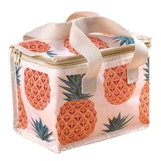 6 skardinių aušintuvo krepšys