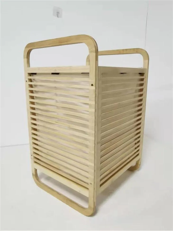 Organizatoriaus saugojimo laukas