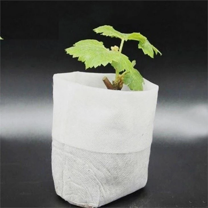 biodegradable grow bag (2)